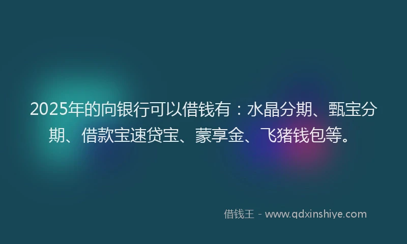 2025年的向银行可以借钱有：水晶分期、甄宝分期、借款宝速贷宝、蒙享金、飞猪钱包等。
