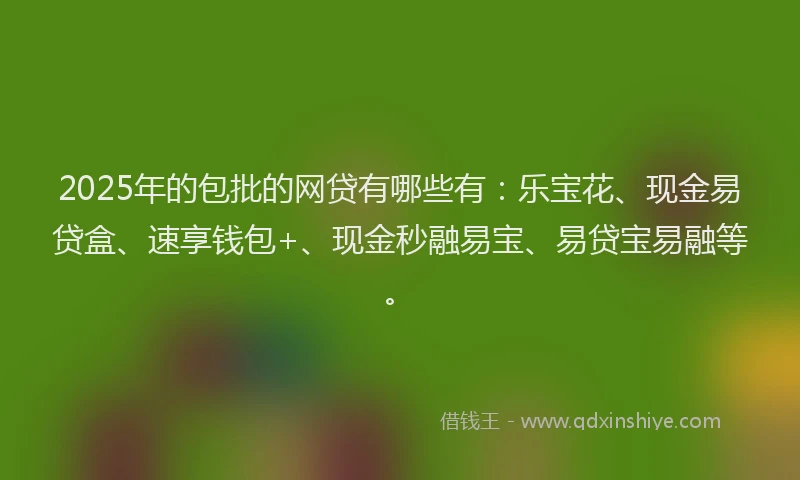 2025年的包批的网贷有哪些有：乐宝花、现金易贷盒、速享钱包+、现金秒融易宝、易贷宝易融等。