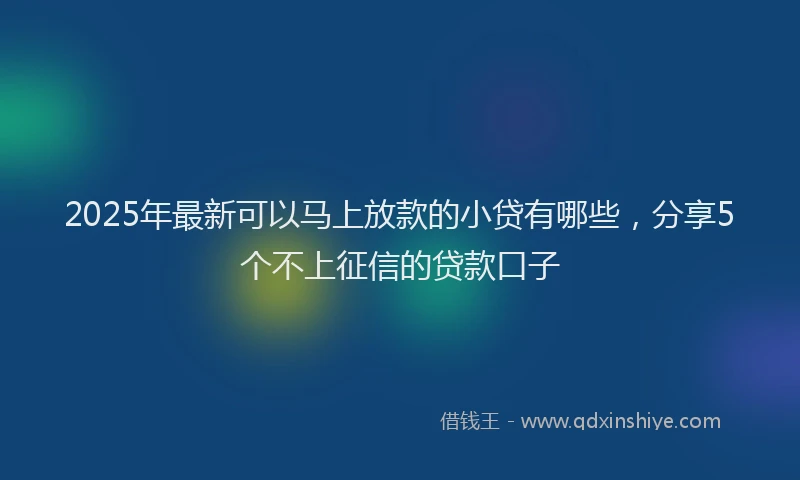 2025年最新可以马上放款的小贷有哪些，分享5个不上征信的贷款口子