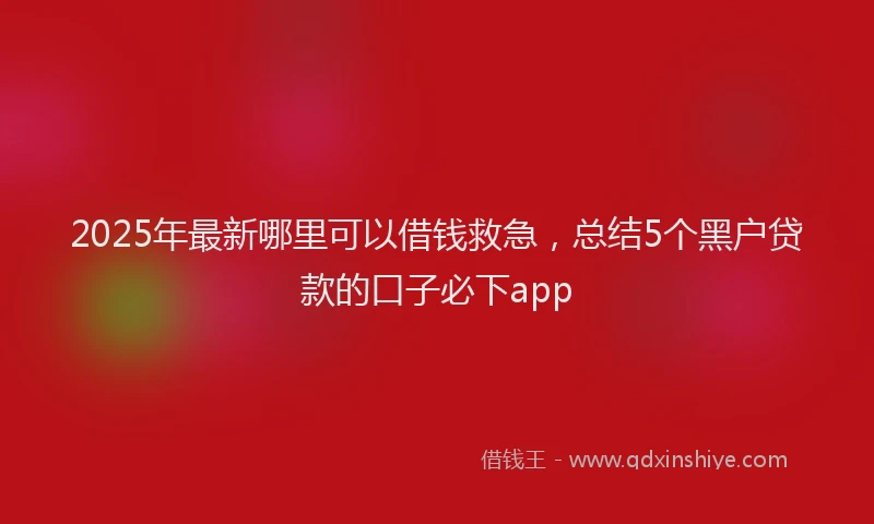 2025年最新哪里可以借钱救急，总结5个黑户贷款的口子必下app