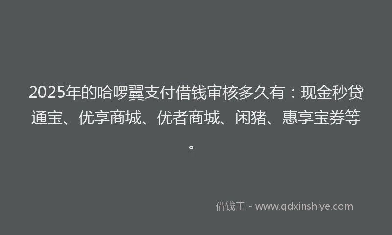 2025年的哈啰翼支付借钱审核多久有：现金秒贷通宝、优享商城、优者商城、闲猪、惠享宝券等。