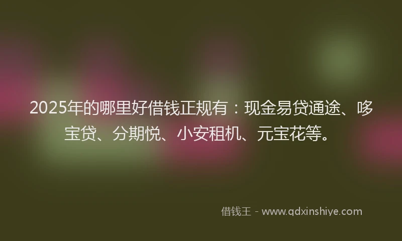 2025年的哪里好借钱正规有：现金易贷通途、哆宝贷、分期悦、小安租机、元宝花等。