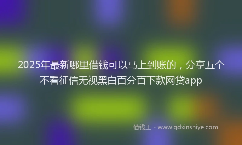 2025年最新哪里借钱可以马上到账的，分享五个不看征信无视黑白百分百下款网贷app