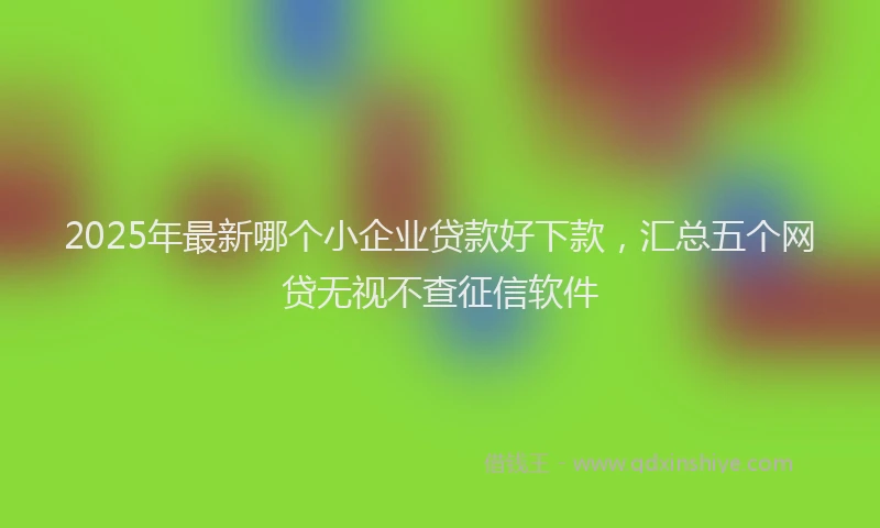 2025年最新哪个小企业贷款好下款，汇总五个网贷无视不查征信软件