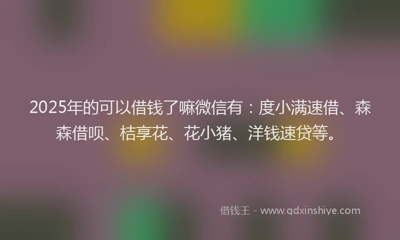 2025年的可以借钱了嘛微信有：度小满速借、森森借呗、桔享花、花小猪、洋钱速贷等。