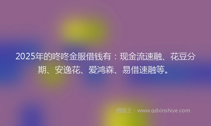 2025年的咚咚金服借钱有：现金流速融、花豆分期、安逸花、爱鸿森、易借速融等。