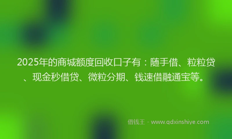 2025年的商城额度回收口子有：随手借、粒粒贷、现金秒借贷、微粒分期、钱速借融通宝等。