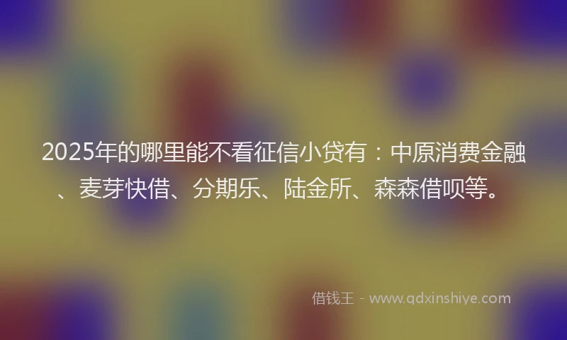 2025年的哪里能不看征信小贷有：中原消费金融、麦芽快借、分期乐、陆金所、森森借呗等。
