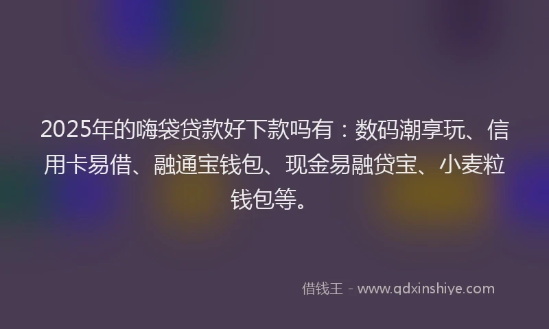 2025年的嗨袋贷款好下款吗有：数码潮享玩、信用卡易借、融通宝钱包、现金易融贷宝、小麦粒钱包等。