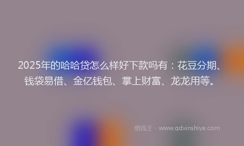 2025年的哈哈贷怎么样好下款吗有：花豆分期、钱袋易借、金亿钱包、掌上财富、龙龙用等。