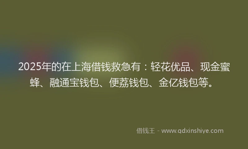 2025年的在上海借钱救急有：轻花优品、现金蜜蜂、融通宝钱包、便荔钱包、金亿钱包等。