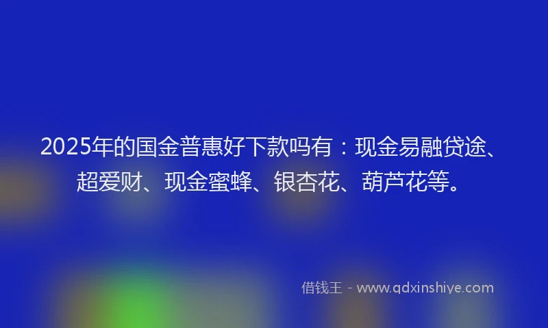 2025年的国金普惠好下款吗有：现金易融贷途、超爱财、现金蜜蜂、银杏花、葫芦花等。