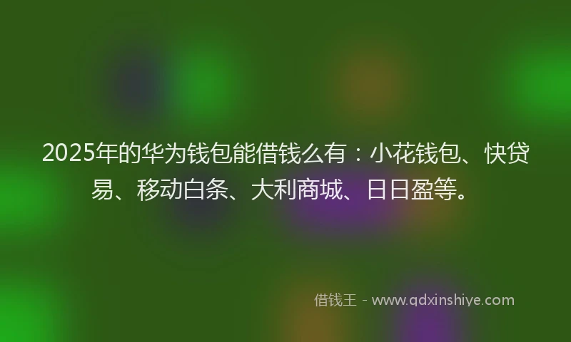 2025年的华为钱包能借钱么有：小花钱包、快贷易、移动白条、大利商城、日日盈等。