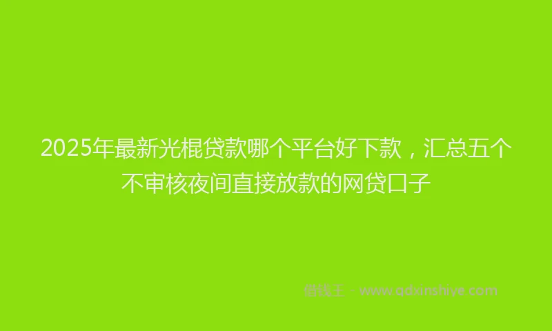 2025年最新光棍贷款哪个平台好下款，汇总五个不审核夜间直接放款的网贷口子