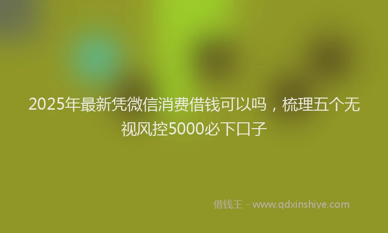 2025年最新凭微信消费借钱可以吗，梳理五个无视风控5000必下口子