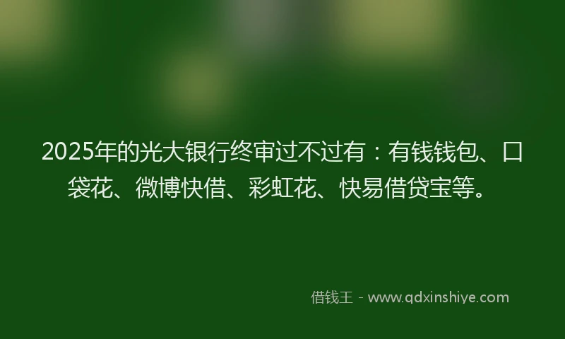 2025年的光大银行终审过不过有：有钱钱包、口袋花、微博快借、彩虹花、快易借贷宝等。