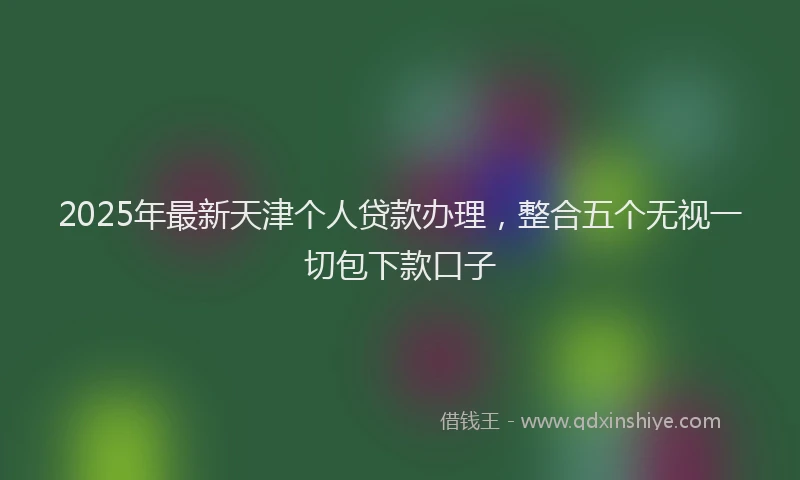2025年最新天津个人贷款办理，整合五个无视一切包下款口子