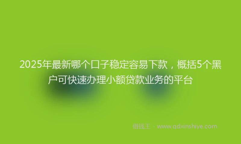 2025年最新哪个口子稳定容易下款，概括5个黑户可快速办理小额贷款业务的平台
