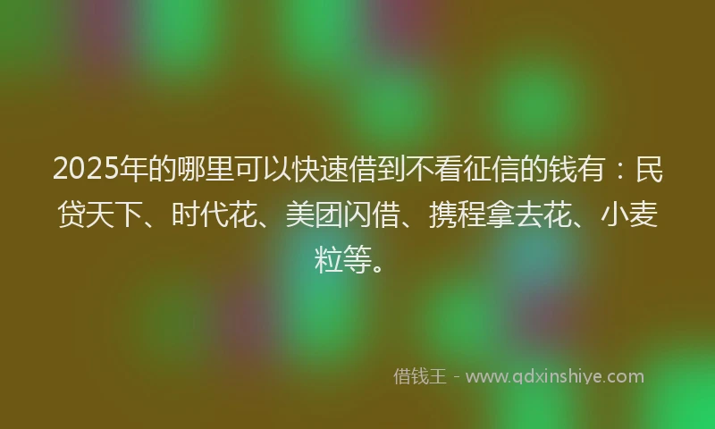 2025年的哪里可以快速借到不看征信的钱有：民贷天下、时代花、美团闪借、携程拿去花、小麦粒等。