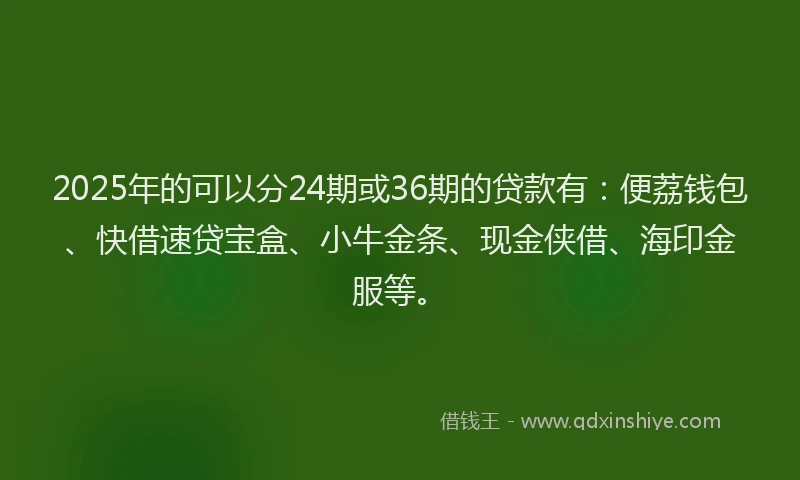 2025年的可以分24期或36期的贷款有：便荔钱包、快借速贷宝盒、小牛金条、现金侠借、海印金服等。