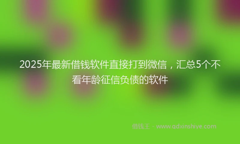 2025年最新借钱软件直接打到微信，汇总5个不看年龄征信负债的软件