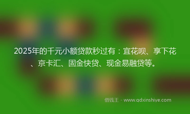 2025年的千元小额贷款秒过有：宜花呗、享下花、京卡汇、固金快贷、现金易融贷等。