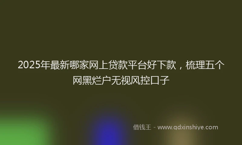 2025年最新哪家网上贷款平台好下款，梳理五个网黑烂户无视风控口子