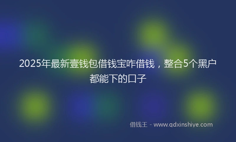 2025年最新壹钱包借钱宝咋借钱，整合5个黑户都能下的口子