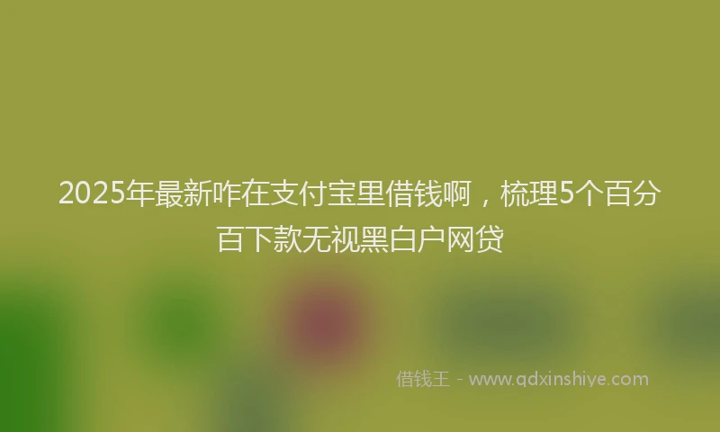 2025年最新咋在支付宝里借钱啊，梳理5个百分百下款无视黑白户网贷
