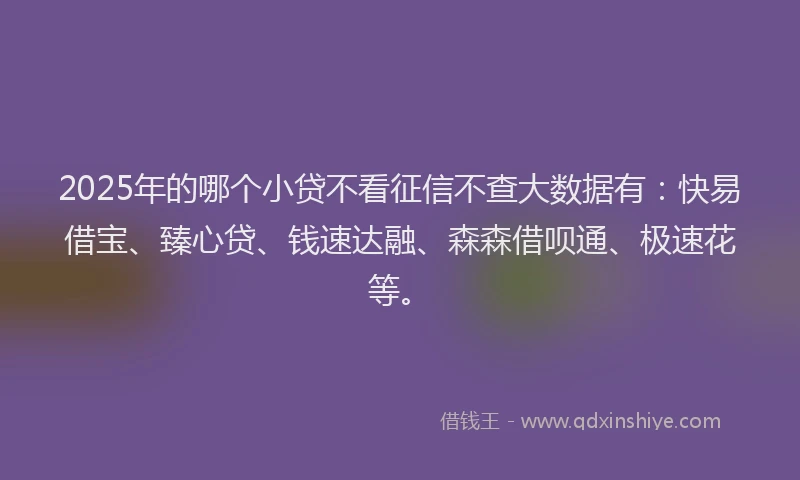 2025年的哪个小贷不看征信不查大数据有：快易借宝、臻心贷、钱速达融、森森借呗通、极速花等。