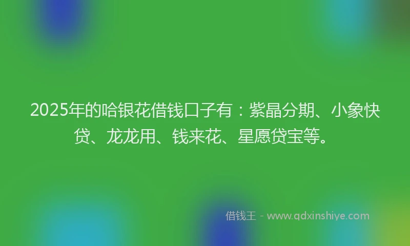 2025年的哈银花借钱口子有：紫晶分期、小象快贷、龙龙用、钱来花、星愿贷宝等。