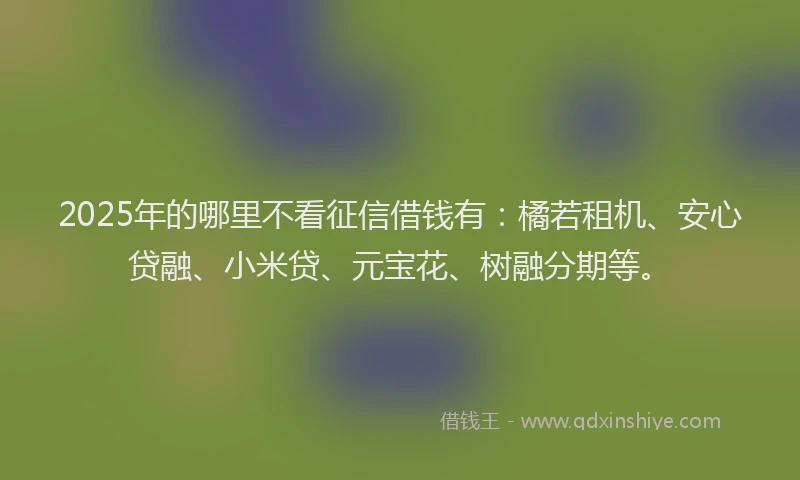 2025年的哪里不看征信借钱有：橘若租机、安心贷融、小米贷、元宝花、树融分期等。