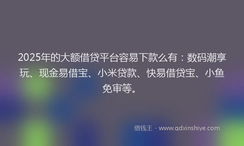 2025年的大额借贷平台容易下款么有：数码潮享玩、现金易借宝、小米贷款、快易借贷宝、小鱼免审等。