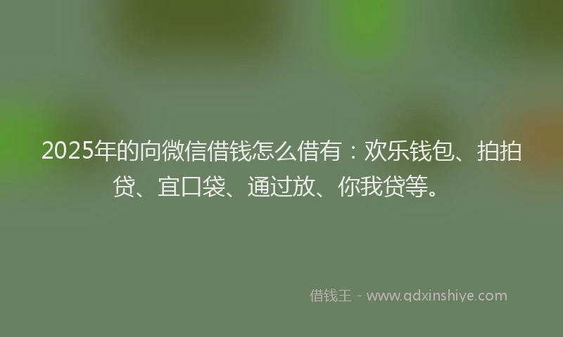 2025年的向微信借钱怎么借有：欢乐钱包、拍拍贷、宜口袋、通过放、你我贷等。
