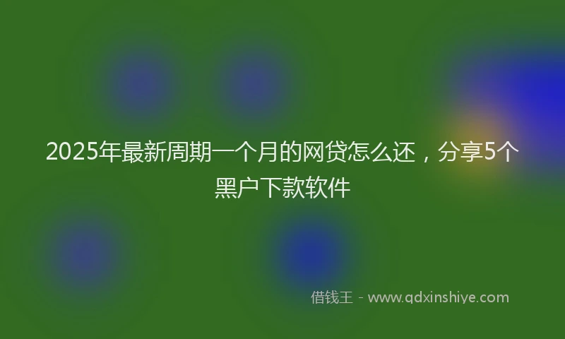 2025年最新周期一个月的网贷怎么还，分享5个黑户下款软件