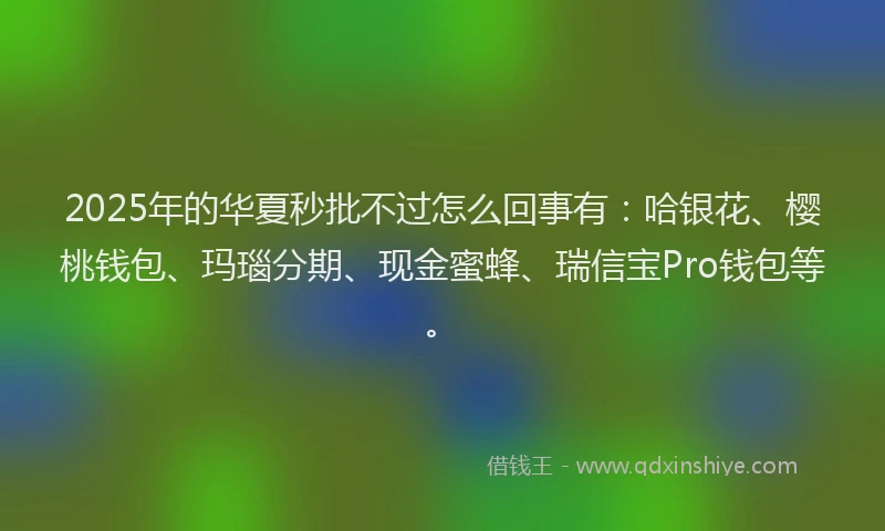 2025年的华夏秒批不过怎么回事有：哈银花、樱桃钱包、玛瑙分期、现金蜜蜂、瑞信宝Pro钱包等。