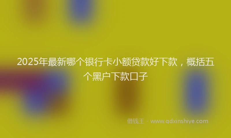 2025年最新哪个银行卡小额贷款好下款，概括五个黑户下款口子