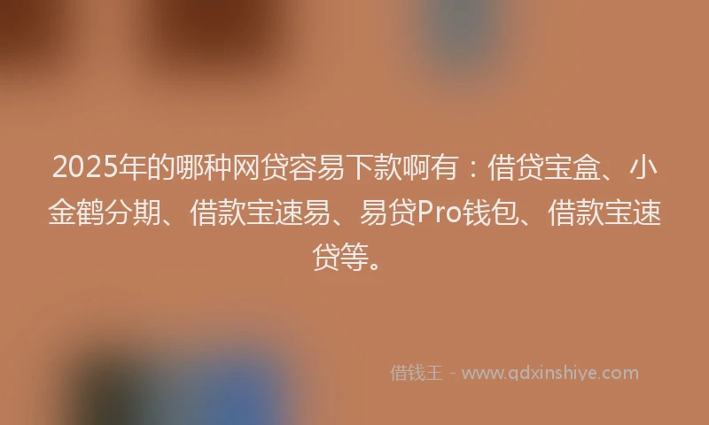 2025年的哪种网贷容易下款啊有：借贷宝盒、小金鹤分期、借款宝速易、易贷Pro钱包、借款宝速贷等。