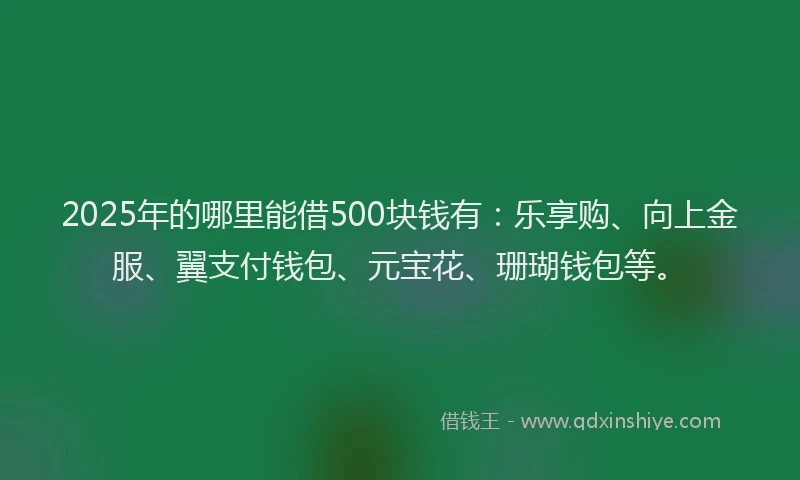 2025年的哪里能借500块钱有：乐享购、向上金服、翼支付钱包、元宝花、珊瑚钱包等。