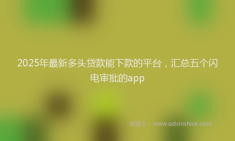 2025年最新多头贷款能下款的平台，汇总五个闪电审批的app