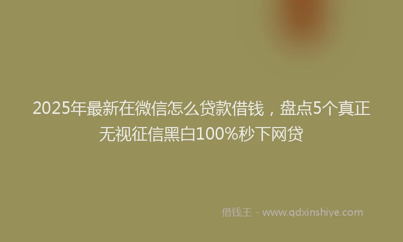 2025年最新在微信怎么贷款借钱，盘点5个真正无视征信黑白100%秒下网贷