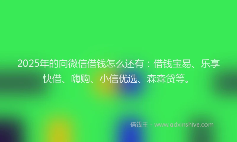 2025年的向微信借钱怎么还有：借钱宝易、乐享快借、嗨购、小信优选、森森贷等。