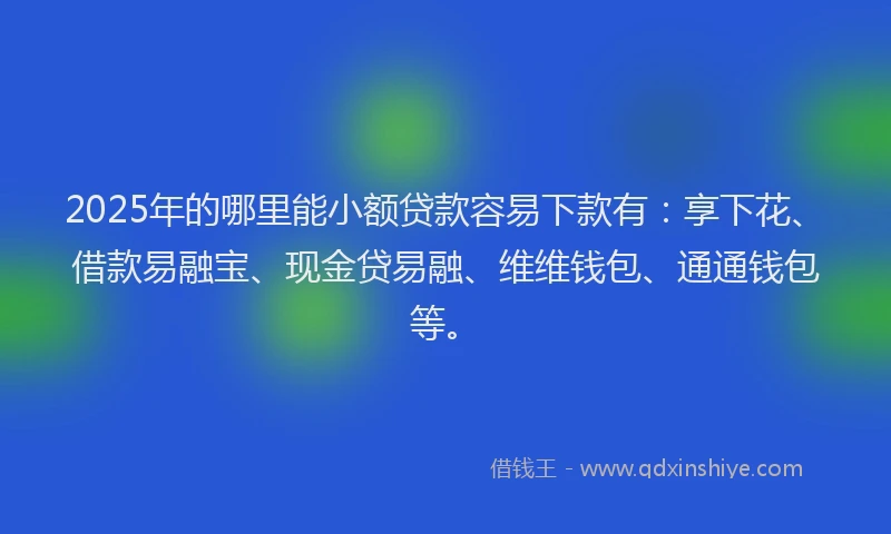 2025年的哪里能小额贷款容易下款有：享下花、借款易融宝、现金贷易融、维维钱包、通通钱包等。