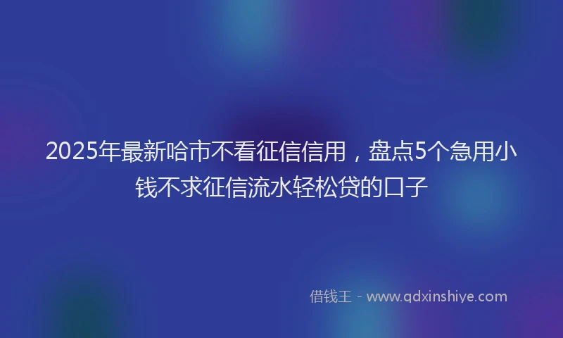 2025年最新哈市不看征信信用，盘点5个急用小钱不求征信流水轻松贷的口子