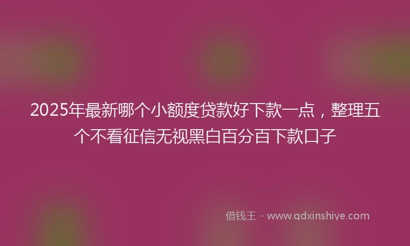 2025年最新哪个小额度贷款好下款一点，整理五个不看征信无视黑白百分百下款口子