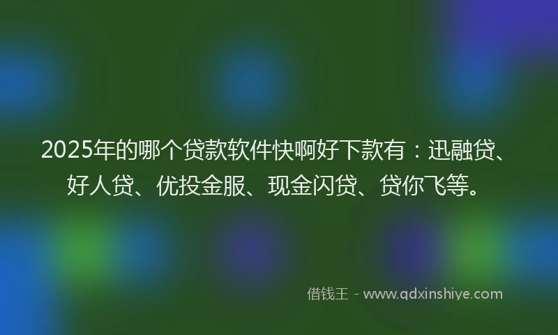 2025年的哪个贷款软件快啊好下款有：迅融贷、好人贷、优投金服、现金闪贷、贷你飞等。