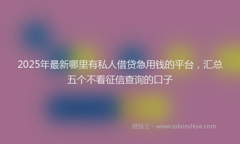 2025年最新哪里有私人借贷急用钱的平台，汇总五个不看征信查询的口子