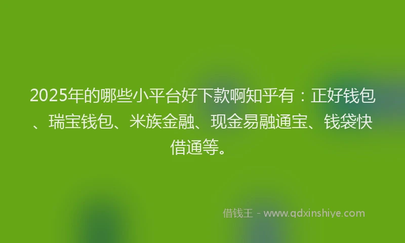 2025年的哪些小平台好下款啊知乎有：正好钱包、瑞宝钱包、米族金融、现金易融通宝、钱袋快借通等。
