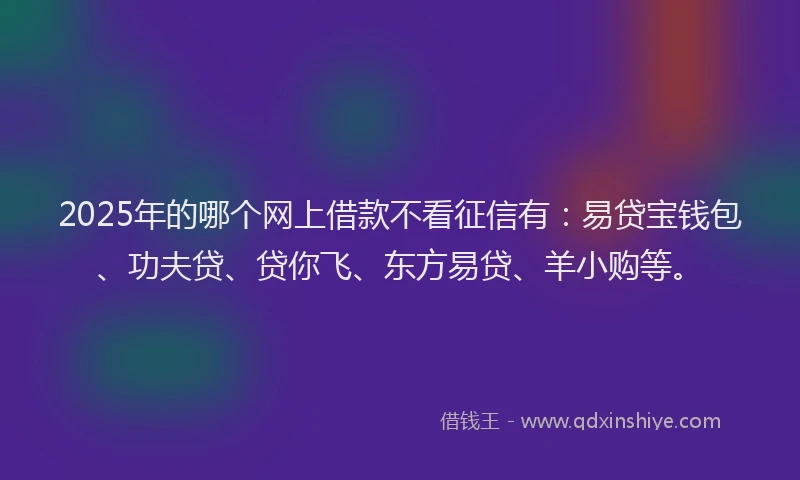 2025年的哪个网上借款不看征信有：易贷宝钱包、功夫贷、贷你飞、东方易贷、羊小购等。