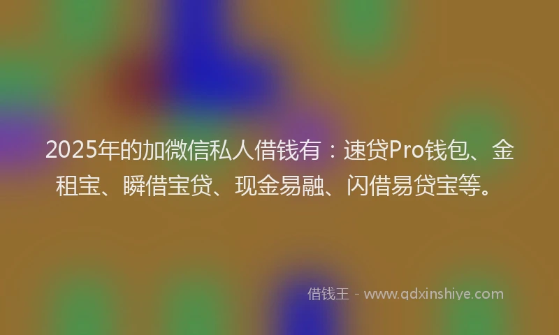 2025年的加微信私人借钱有：速贷Pro钱包、金租宝、瞬借宝贷、现金易融、闪借易贷宝等。